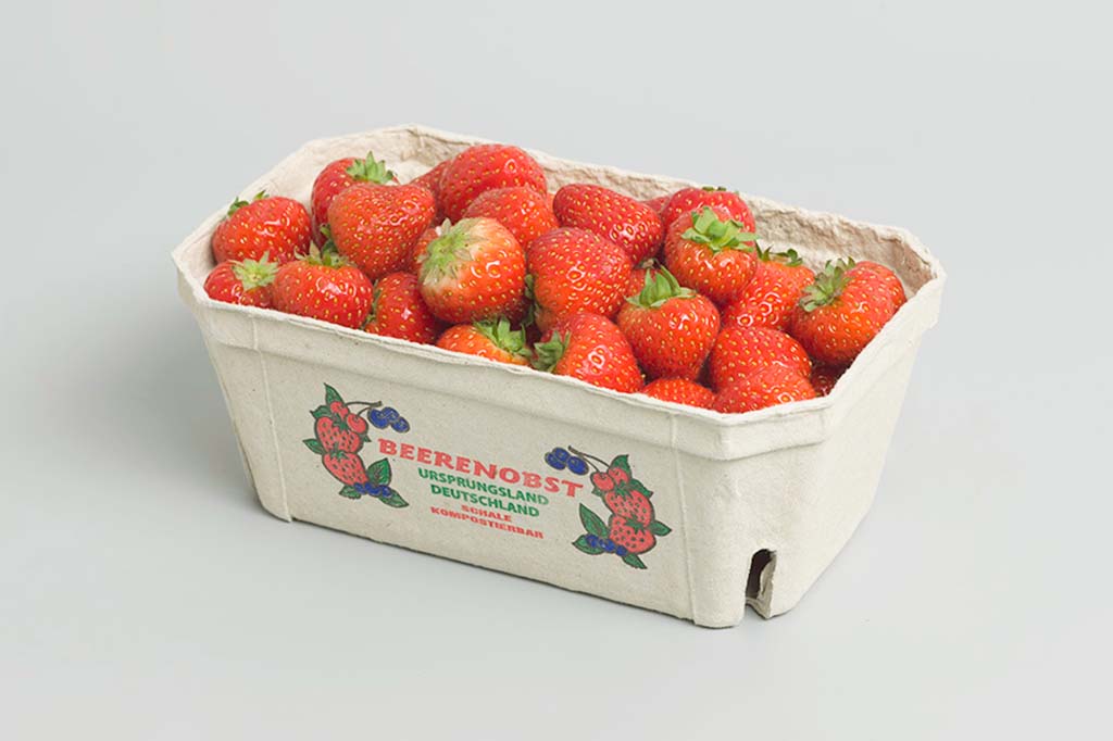Strawberry Royal Box, Plástico con diseño de tubo : : Oficina y  papelería